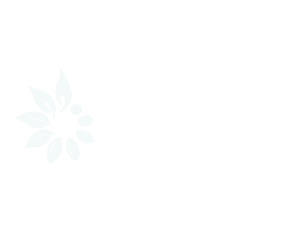 Mitsiry logo
