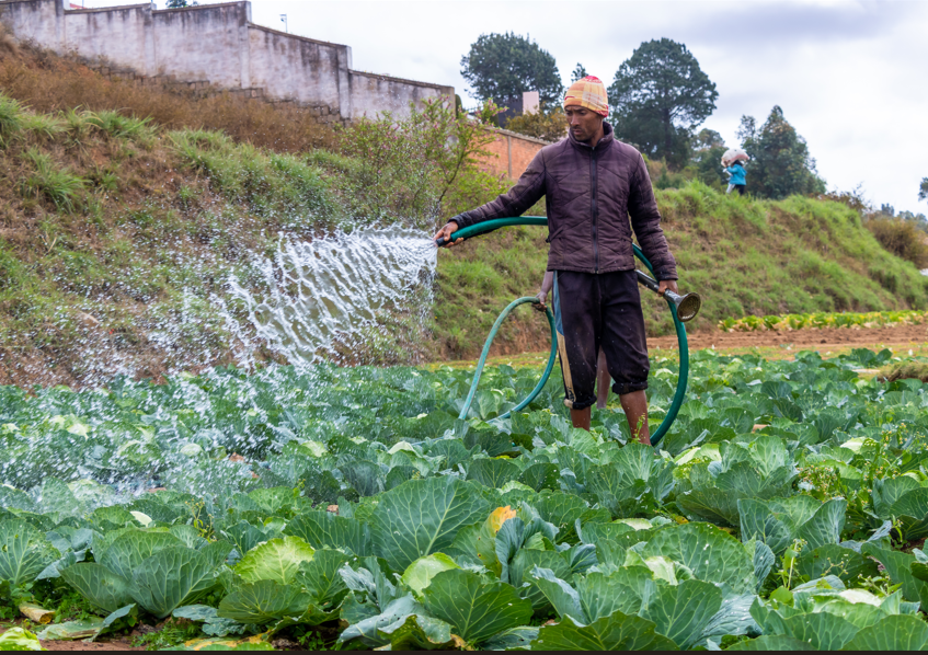 Apem paiq entrepreneur